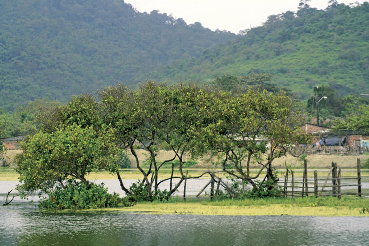 El Campito Lodge Ayampe Bagian luar foto
