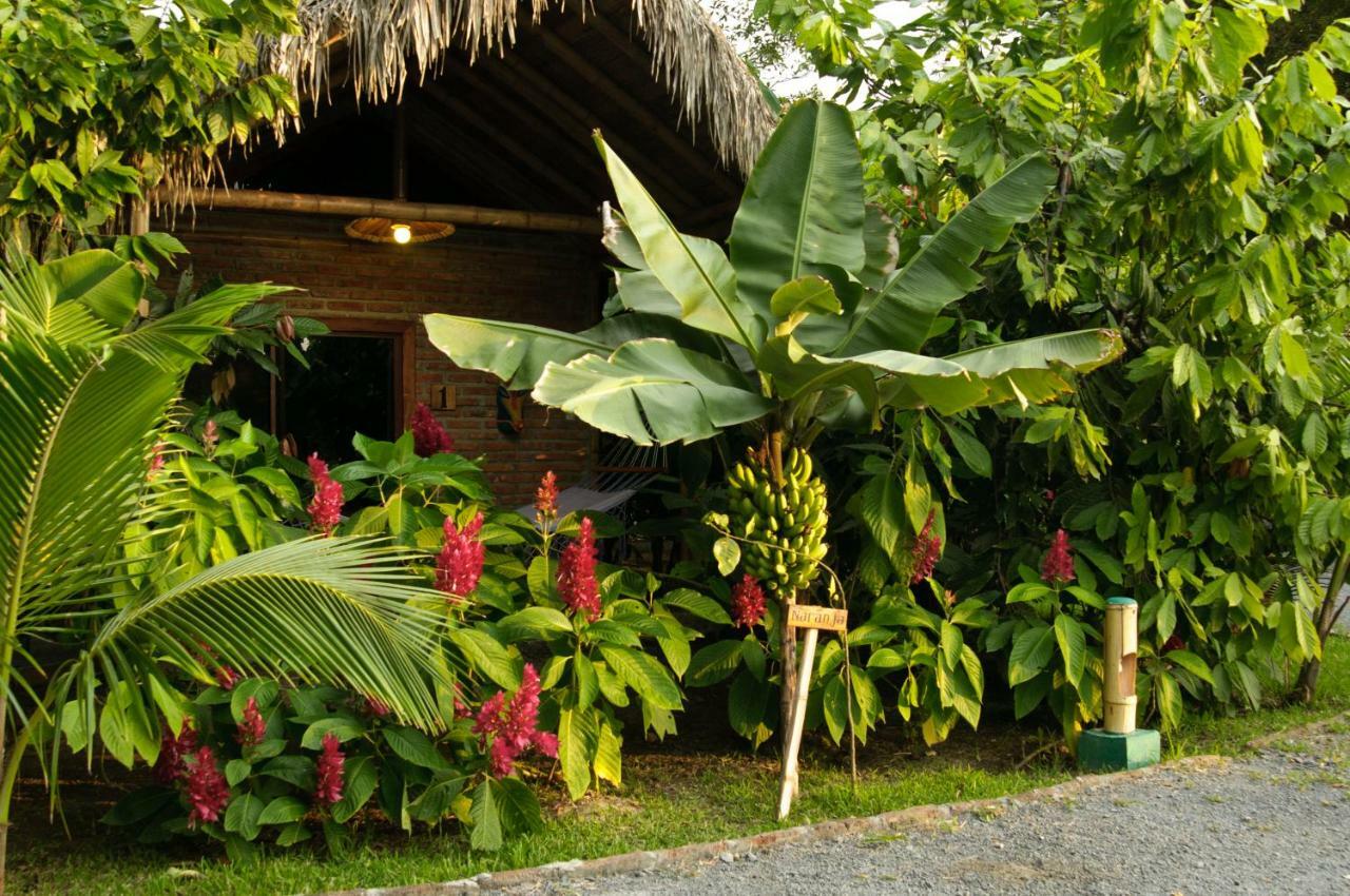 El Campito Lodge Ayampe Bagian luar foto
